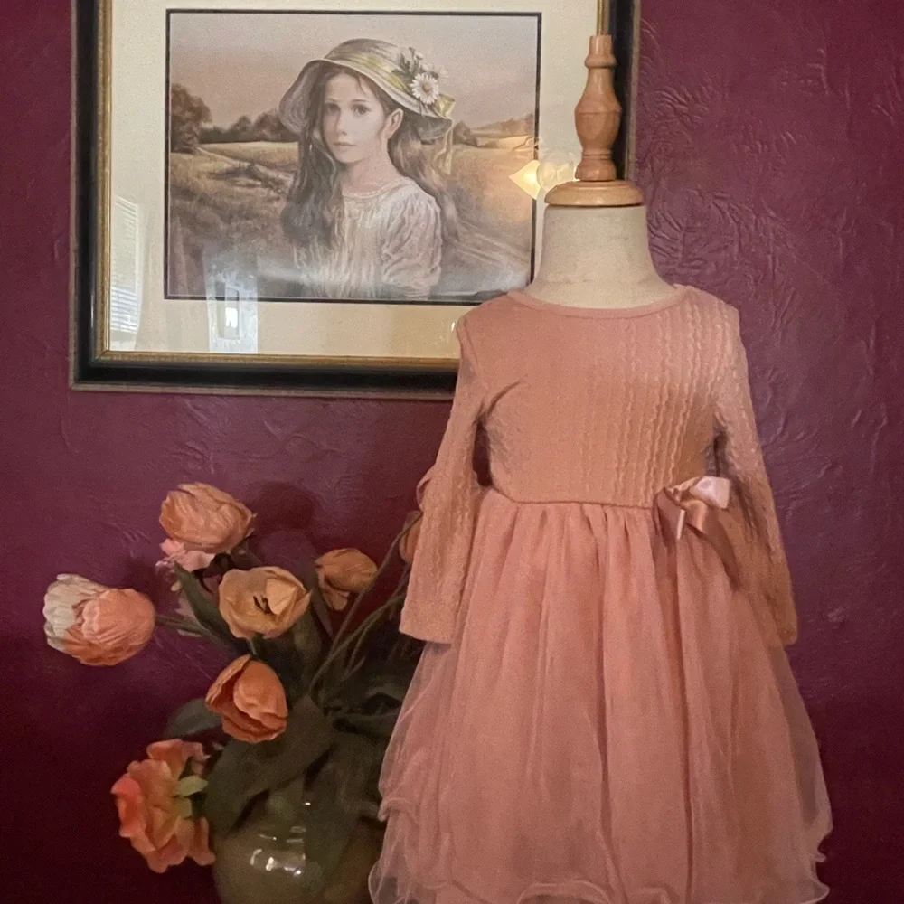 2t brand: special occasion, Pink long sleeve summer/spring dress - Picture 2 of 9